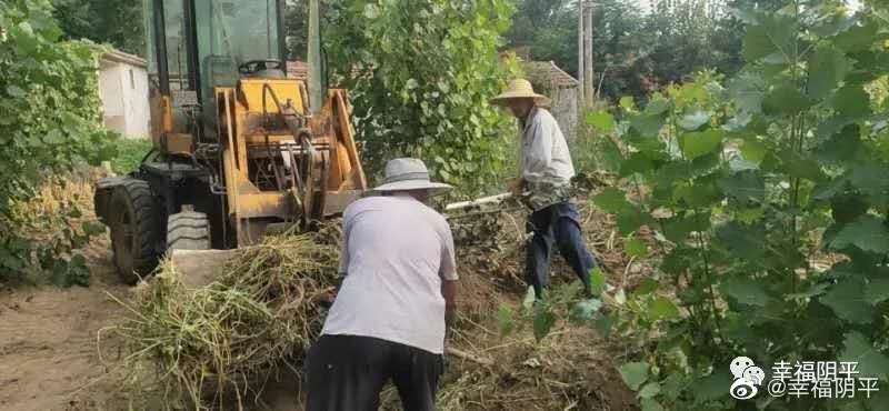 惠州監獄潲水垃圾清運服務采購項目成交公告